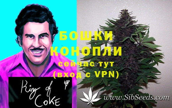 spice Усинск