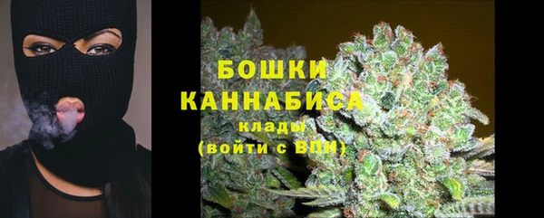 spice Усинск